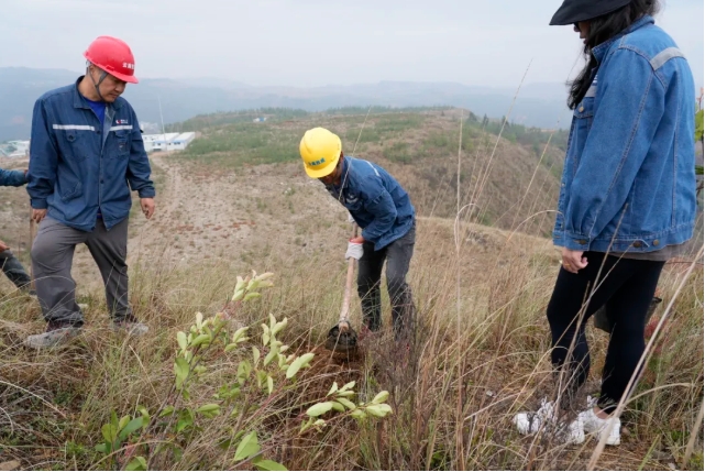 微信截圖_20250514151120.png 微信截圖_20250514151120.png