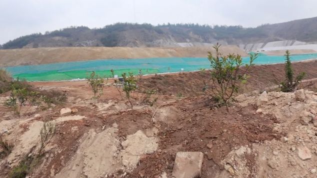 微信截圖_20250514151134.png 微信截圖_20250514151134.png